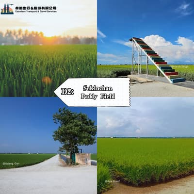 Sekinchan Paddy Field - Sekinchan